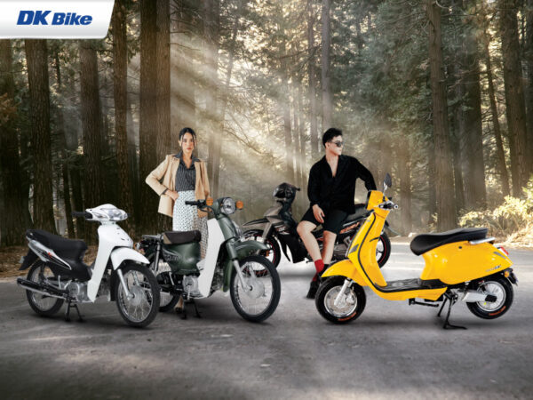 Các Loại Xe Đạp Điện Cho Học sinh Giá Rẻ