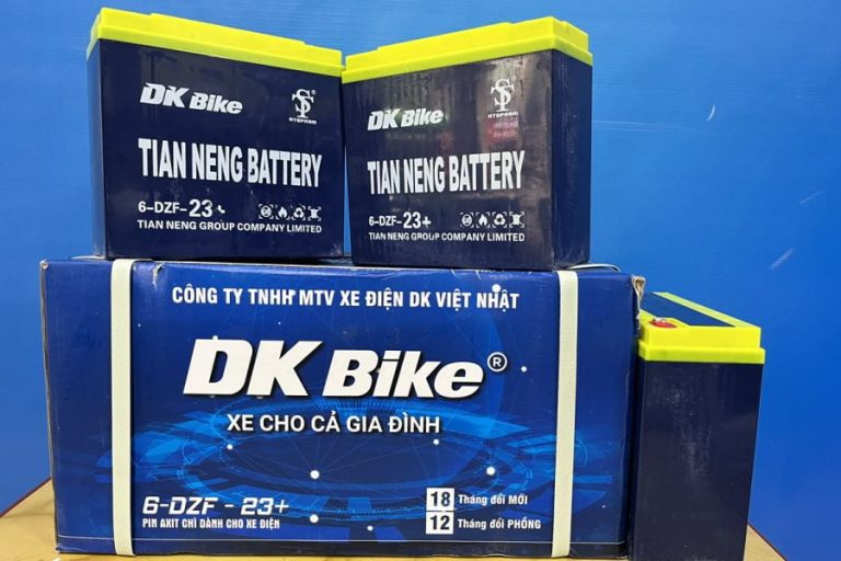 Tuổi thọ Trung bình của Ắc quy Xe Đạp Điện